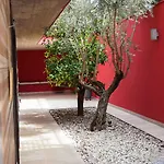 Magnolia