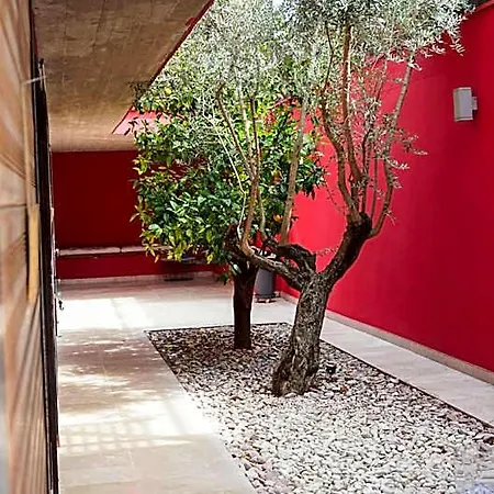 Panzió Magnolia 4*