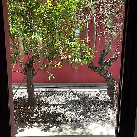 Magnolia