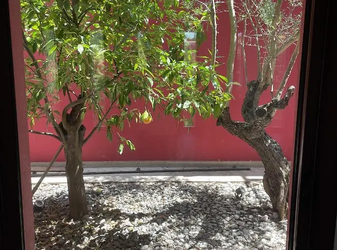 Magnolia Oda ve Kahvaltı Montpellier